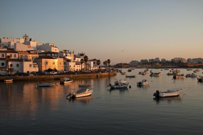 2 Hours Cruise Portimão to Benagil Cave & Marinha Beach - Suggestions for Improvement