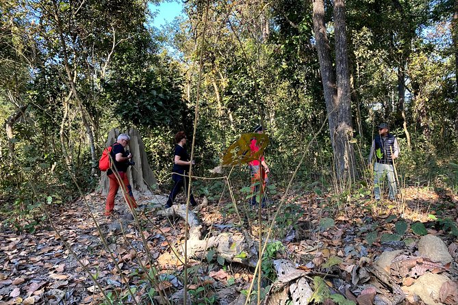 2 Hours Nature Walk in Chitwan National Park - Guided Tour Experience