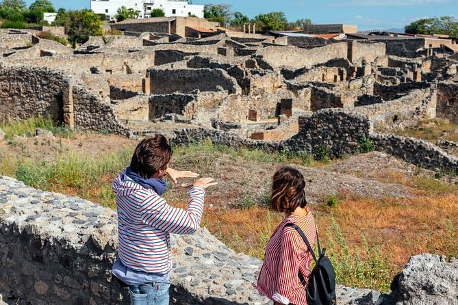 2 Hours Walking Tour in Pompeii With an Archaeologist - Common Questions