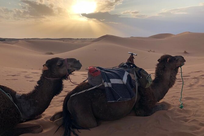 2 Nights 3 Days Private Desert Tour to Marrakech From Fes - Inclusions and Exclusions