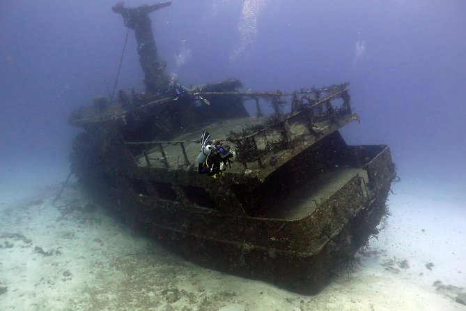 2-Tank Morning or Afternoon Dives in Playa Del Carmen Certified Divers Only - Additional Services and Fees