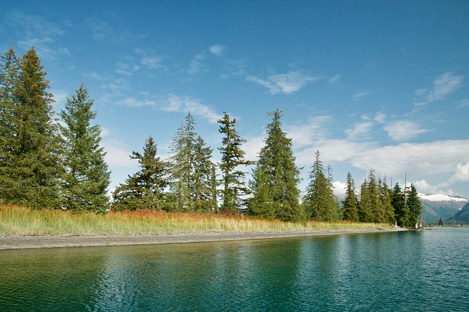 26 Glacier Cruise and Coach From Anchorage, AK - Cancellation Policy