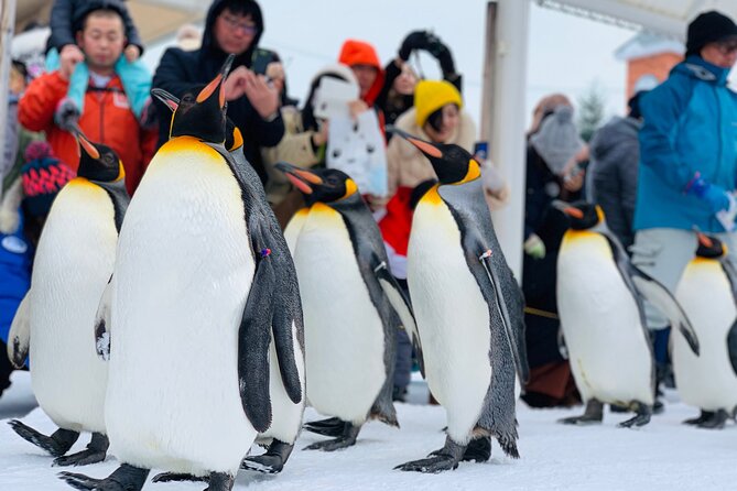 2日間の北海道でのアイスブレーカー紋別と旭山動物園のツアー - Asahiyama Zoo