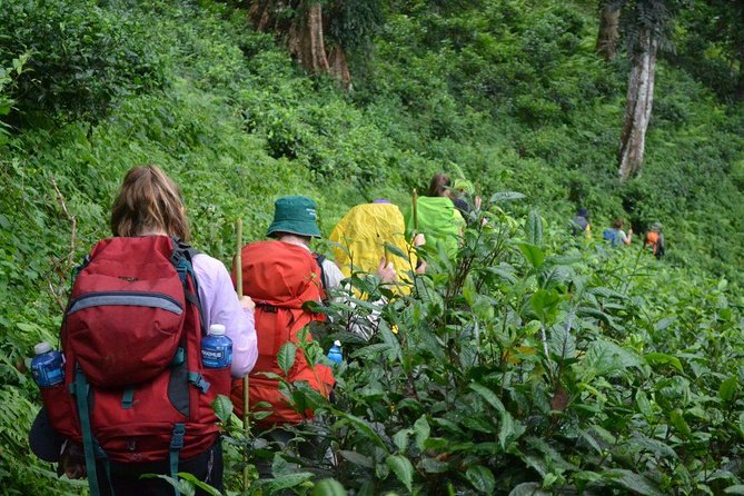 3-Day Chiang Dao Mountain Trek - Cancellation Policy
