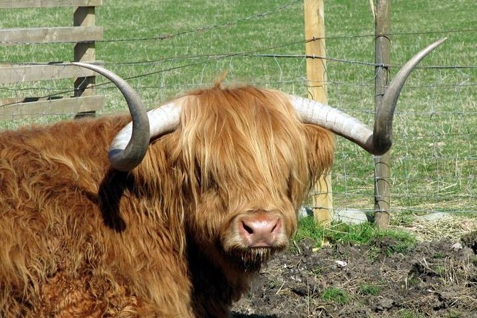 3-Day Isle of Skye and Highlands Tour From Glasgow - Traveler Tips and Reviews