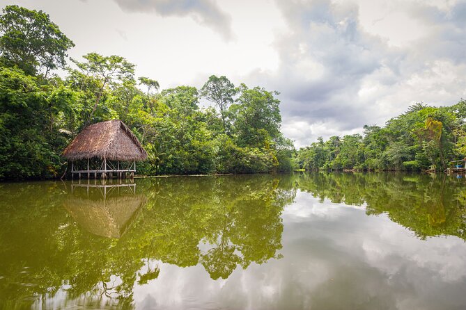 3-Day Jungle and Amazon River Tour From Iquitos - Additional Excursions