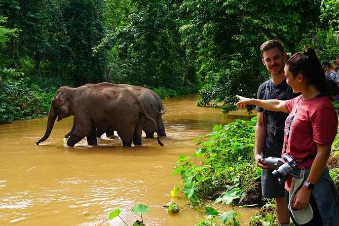 3-Day Kindred Spirit Elephant Sanctuary Chiang Mai - Traveler Photos