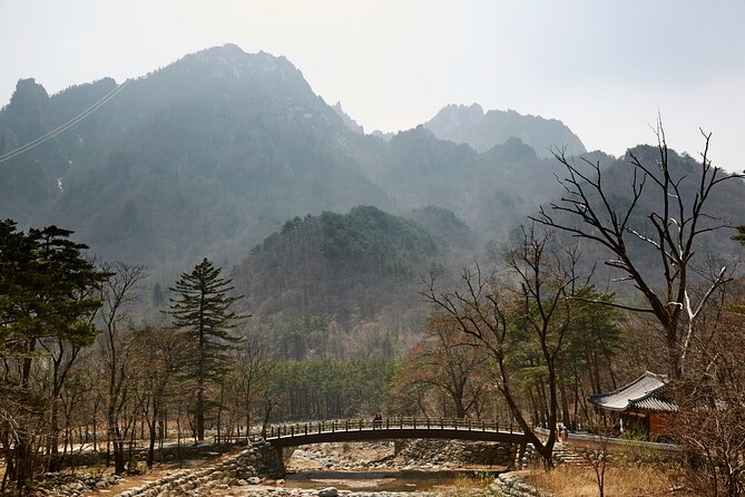 3-Day Korea Eastern Course by K-Shuttle Tour From Busan to Seoul - Tour Inclusions and Requirements