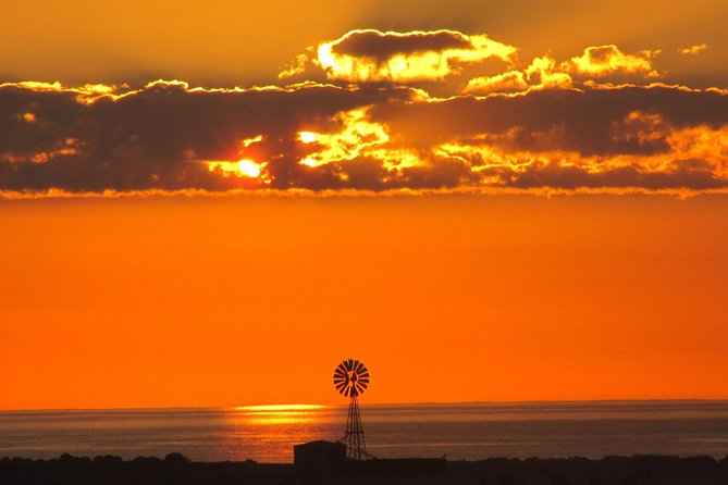 3-Day Small-Group Eco-Tour From Adelaide: Southern Yorke Peninsula - Tour Overview