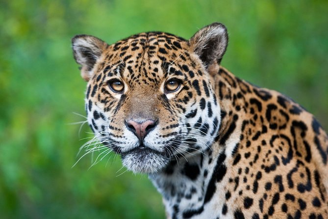 3-Day Tambopata National Reserve Tour - Requirements and Restrictions