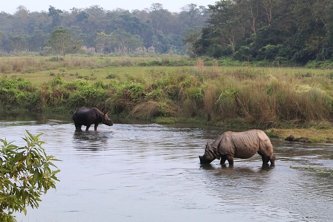 3 Days and 2 Nights Chitwan National Park Safari Tour in Pokhara - Common Questions