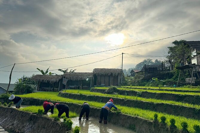 3 Days and 2 Nights Sapa Trek With Local Guide by Comlam - Common Questions