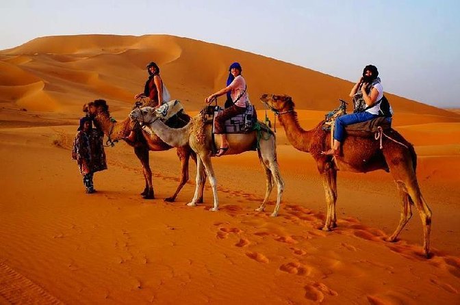 3 Days Desert Tour Fes to Marrakech With 2 Nights in Merzouga - The Sum Up