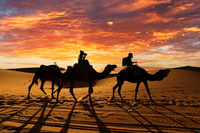 3 Days Desert Tour From Fes to Marrakech via Merzouga - Pricing and Additional Information