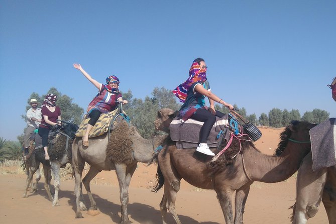 3 Days Desert Tour From Fez to Marrakesh via Merzouga Erg Chebbi - Common Questions