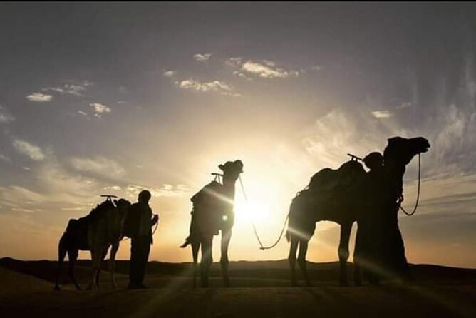 3 Days of Desert Adventures and Berber Encounters in Zagora - Day 3: Sunrise in the Desert and Departure