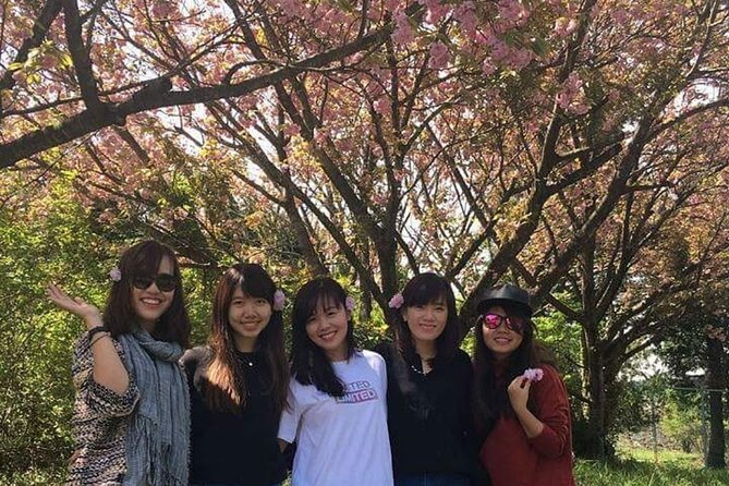 3 Days Private Taxi Tour in Jeju Island - Common Questions