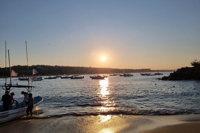 3-Hour Dolphin Watching Experience in Puerto Escondido - Reviews