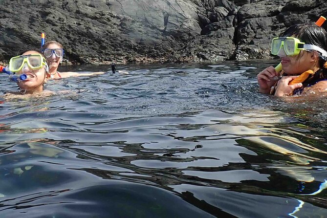 3-Hour Kayak and Snorkeling Experience in Batemans Bay - What to Expect