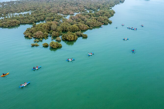 3-Hour Kayaking Eco Adventure - Mangrove Purple Island - What To Expect