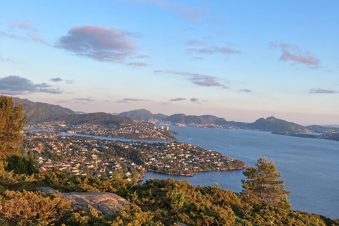 3-Hour Private Norwegian Hiking Experience With Local Guide - Pricing and Offer Details