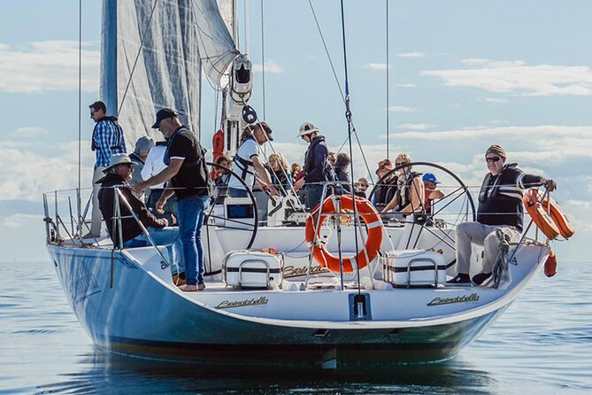 3 Hour Sailing Adventure on Brindabella - Minimum Requirements and Traveler Limitations