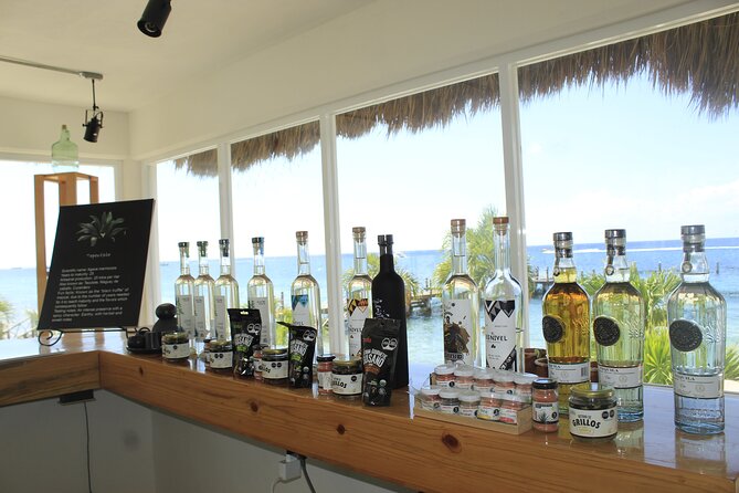 3-Hour Small-Group Mezcal and Tequila Tasting Activity From Cozumel - Meeting and Pickup Details