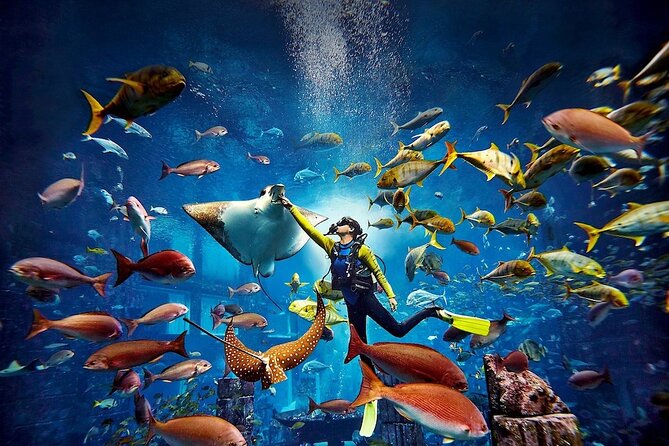 3-Hour the Lost Chambers Aquarium Tickets With Pick and Drop off - Important Information for Visitors