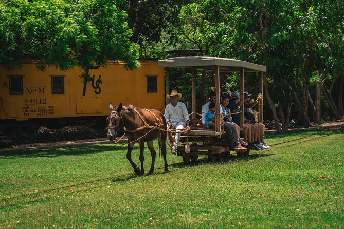 3 Hour Tour in the Sotuta De Peón Live Museum - Traveler Photos and Reviews