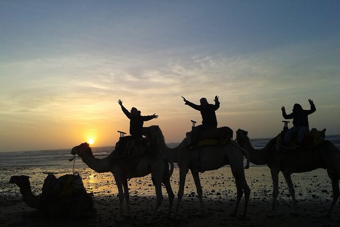 3 Hours Camel Ride in Essaouira, Beach and Dunes - Additional Information and Cancellation Policy