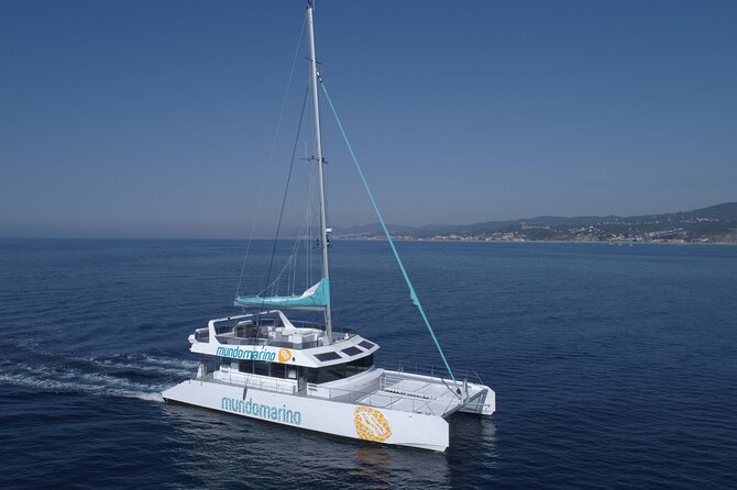 3-Hours Catamaran Tour in Malaga With Paella - Activities on the Catamaran