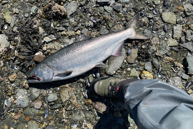 3 Hours Fishing Experience Class in Juneau - Common Questions