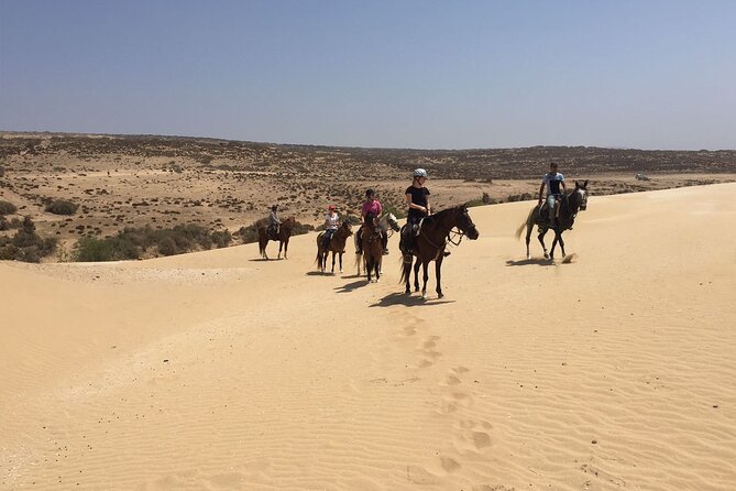 3 Hours Horse Riding in Essaouira, Beach, Forest and Dunes - Cancellation Policy, Reviews, and Additional Booking Information