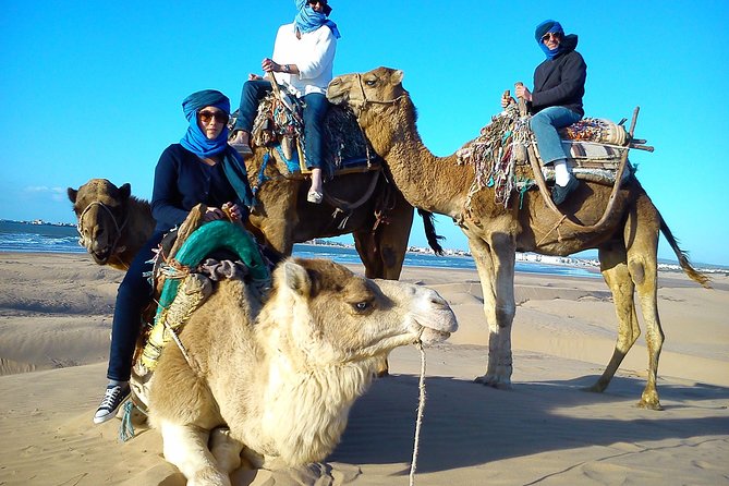 3 Hours Ride on Camel at Sunset - Experience and Highlights