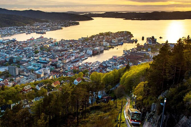 3 in 1 - Bergen Fjord Cruise, City Walk & Mt Flöyen Funicular - Reviews and Additional Information