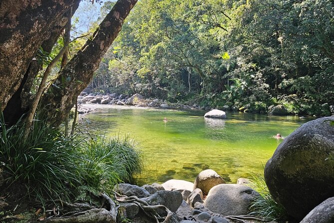 3B Daintree Rainforest, Mossman Gorge, Crocodile Wildlife Cruise - Scenic Beauty of the Rainforest
