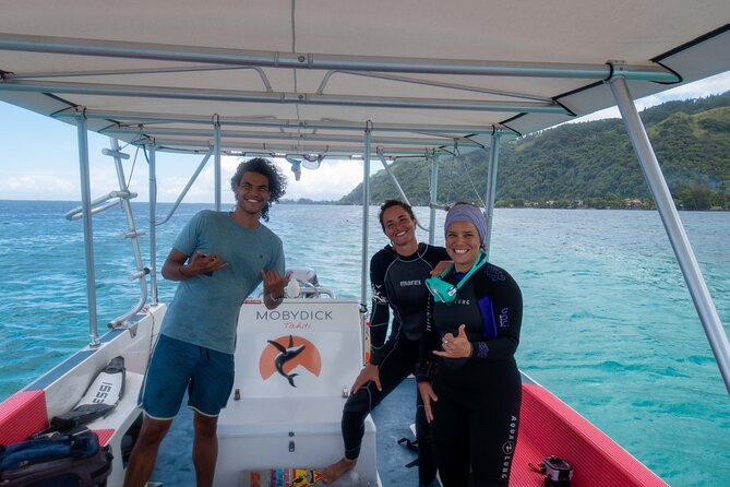 3h Dolphin and Snorkeling Tour in a Wild Lagoon With Mobydick - Cancellation Policy