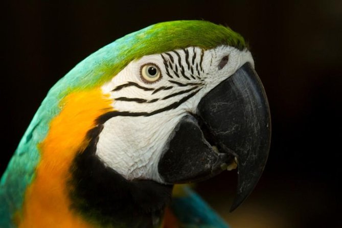 4-Day Amazon Eco-Lodge Tour From Puerto Maldonado - Important Information