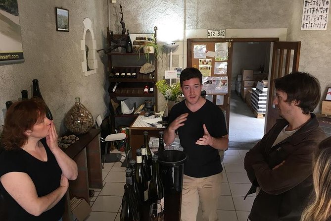 4 Day BORDEAUX WINE and HISTORY Tour - Taking in the Rich Heritage of Bordeaux