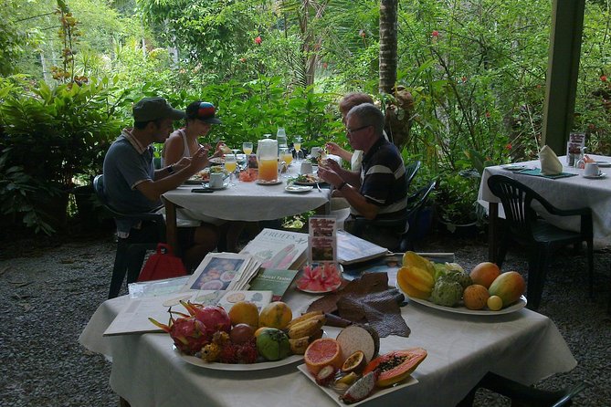 4 Day Cairns: Daintree Rainforest, Reef, Kuranda & Paronella Park - Pricing and Booking