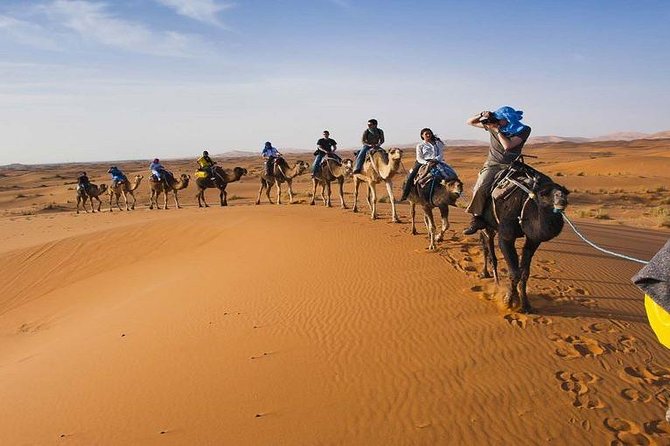 4-Day Sahara Desert Tour to Zagora and Merzouga From Marrakech - What to Expect During the Tour