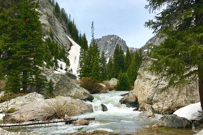 4-Day Small Group Tour: Yellowstone and Tetons Camping From Salt Lake City - Inclusions