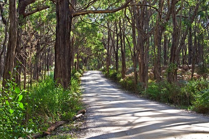 4-Day Yoga Retreat From Adelaide - Fleurieu Peninsula - Common Questions