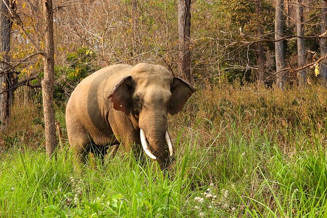 4 Days Bardia National Park Tour - Policies and Contact Information