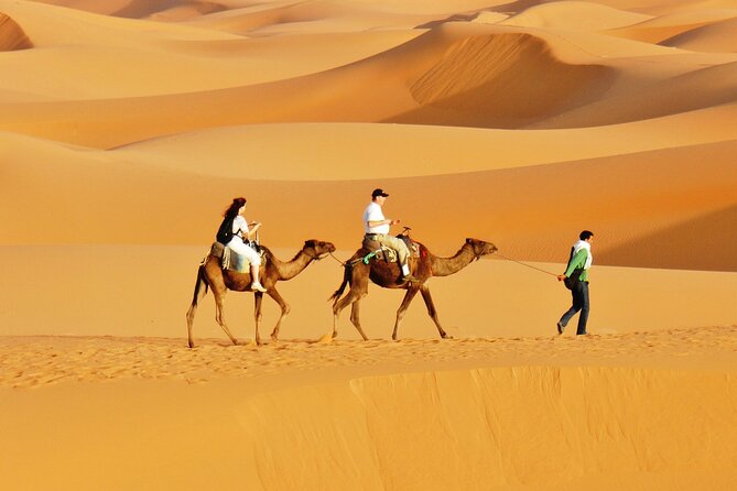 4 Days Desert Tour From Marrakech to Zagora & Merzouga Dunes - Transportation and Guides