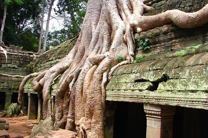 4 Days Expedition From Bangkok to Angkor Wat - Reviews and Feedback