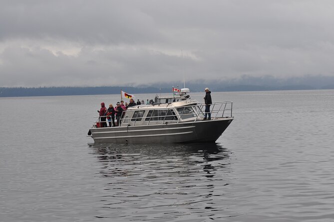 4 Hour Covered Boat Whale and Wildlife Tour - Reviews and Pricing