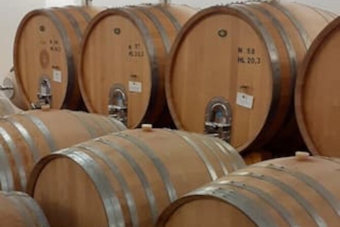 4-Hour Guided E-bike Tour of the Two Wineries in Bardolino - Cycling Through Scenic Routes