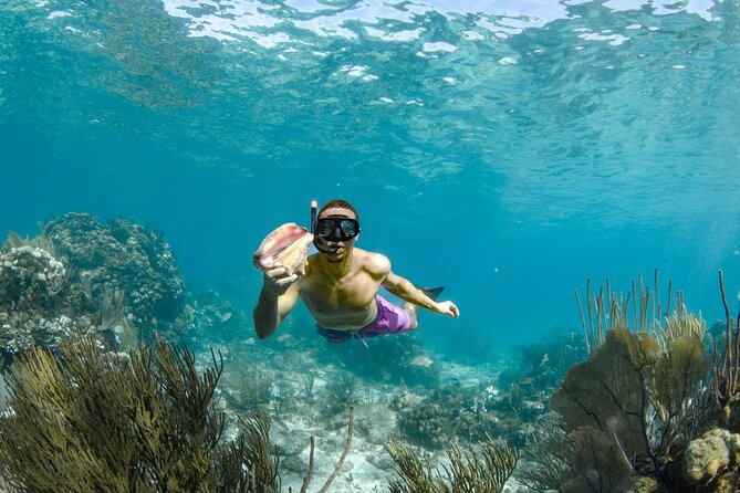 4 Hour Private Boat Charter to Stingray City, Snorkeling and More - Common Questions