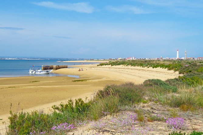 4-Hour Private Boat Tour in Ria Formosa - Questions and Additional Information